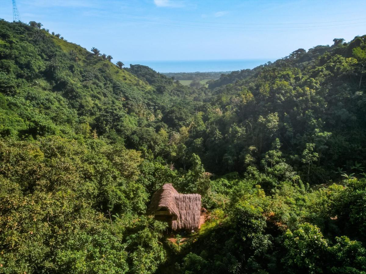 Finca La Selvita Chocolate Experience Буритака Екстериор снимка